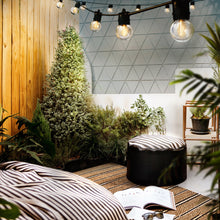 Load image into Gallery viewer, Jingle Jollys 59m LED Festoon String Lights Outdoor Decor Wedding Party Home