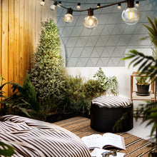 Load image into Gallery viewer, Jingle Jollys 68m LED Festoon Lights Sting Lighting Kits Wedding Outdoor Party